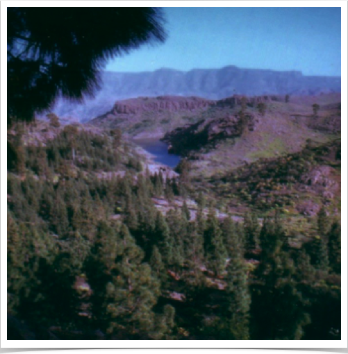 Pine forest cliffs at Pinar de Tamadaba, 1000 m elevation. 
