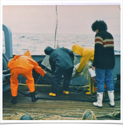 Deck crew of FS UTHORN retrieving pelagic MPS. 