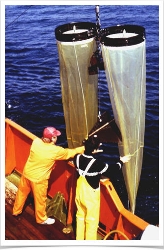 Retrieving BONGO plankton net used for ichthyoplankton collection