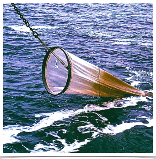 Ring plankton net used for ichthyoplankton research: collection of pelagic fish eggs and fish larvae